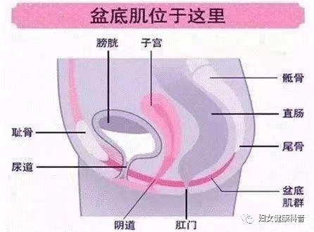 微信圖片_202101040856424.jpg