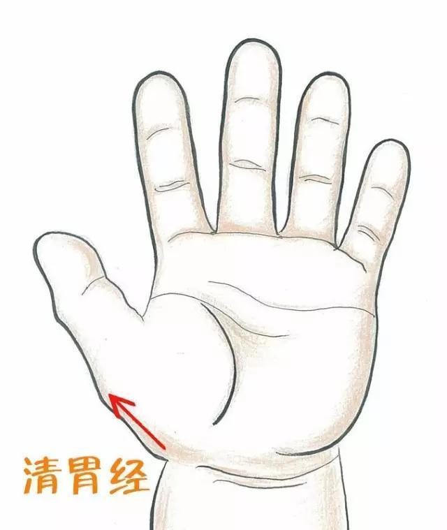 清胃經(jīng).png